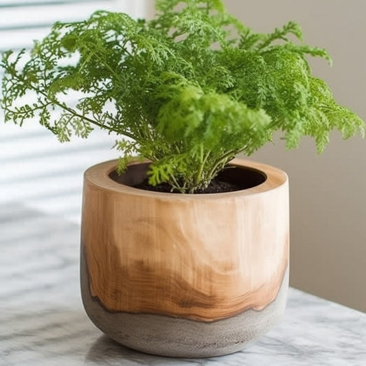 Atelier Fern Planter Decorative